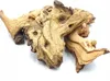BioRoot Mopani-Wurzel für Terrarium und Aquarium S 10-20cm Produktbild-Vorschau 2
