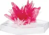 4M Crystal Growing Experimental Kit | 4M Anteprima dell’immagine prodotto 13