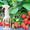 Kalinova | Tomatendünger Spray - 750 Ml - Calcium - Zink - Produktbild-Vorschau 9