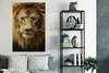 MuchoWow® Poster Porträt - Afrika - Löwe 80x120 cm - Produktbild-Vorschau 4
