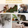 PawHut Kratzbaum Deckenhoch, 228-260 cm Höhenverstellbarer Produktbild-Vorschau 7