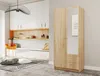 A modern room with a wardrobe, shelves, and decorative items. Náhled obrázku produktu