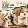 CHEWCHUM Hundesnack Truthahnwürfel 100g – getreidefrei, 92% Produktbild-Vorschau 6
