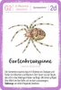 Expedition Natur Quartett Minimonster Produktbild-Vorschau 5