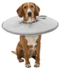 TRIXIE Schutzkragen - grau - 60–64 cm/29 cm Produktbild-Vorschau 1