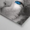 Bilder auf glas - Katze Tiere blaue Augen - 60x60cm - Produktbild-Vorschau 5