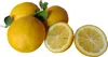 Dufte Momente | Whirlpool Duft 1 Liter Citrus | mit Produktbild-Vorschau 2