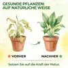 Thripse-Frei Bundle – Raubmilben, Orius & Nematoden Produktbild-Vorschau 7