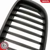 ESEN SKV 66SKV177 Kühlergrill Frontgrill für BMW 5 GT (F07) Produktbild-Vorschau 8