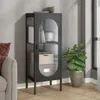 A modern black cabinet with glass doors in a living room setting. Produktbild-Vorschau