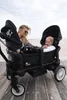 Deryan luxury Sandy handcart duo - tandemový kočík, Náhľad obrázku produktu 4
