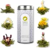 Teeblumen-Mix "Flower Fantasy", 6 Stück in Dose mit Booklet Produktbild-Vorschau 1