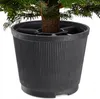 A close-up view of a Christmas tree stand holding a small Christmas tree. Voir les images du produit