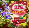 Substral Dünger-Stäbchen für Blühpflanzen - 60 Stück Produktbild-Vorschau 7