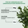 Allflor Gartenkalk Dolomiti 25 kg Produktbild-Vorschau 6