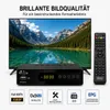 Türkische TV Sat- Receiver Golden Interstar HD FTA S2 Pro Produktbild-Vorschau 8