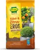 frux® Kübel- & Zitruspflanzenerde mit extra Eisen - 40 Produktbild-Vorschau 1