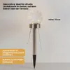 A solar-powered garden stake light with a clear globe containing fairy lights, shown against a light gray background. Produktbild-Vorschau