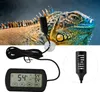 Ei-Inkubator-Thermometer, hohe Praktikabilität, neoterisch, Produktbild-Vorschau 2