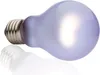 Lampadina EXO TERRA Calore diurno 60 W Anteprima dell’immagine prodotto 3
