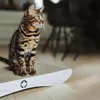 COMET L - griffoir canadien pour chat - gris clair Voir les images du produit 7