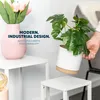set di 4 sgabelli da fiori bremermann, portafiori in Anteprima dell’immagine prodotto 5