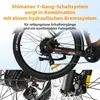 E-Bike Cityrad 28 Zoll, 70Nm, Drehmomentsensor, max. 120km, Produktbild-Vorschau 7