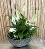 Metall Schale Schiff 25 x 11,5cm schwarz-weiß Blumenschale Produktbild-Vorschau 6