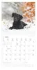 Alpha Edition - Welpen Kalender 2026 - Wandkalender 30x30 Produktbild-Vorschau 4