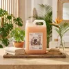 IDEA HOME Rakun Tropic Holiday Flüssigseife 5L Kanister – Produktbild-Vorschau 5