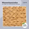 Katzenkorb -opal-, aus Wasserhyazinthe, auch für kleine Produktbild-Vorschau 4