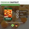Physalis Andenbeere Kapstachelbeere Samen - Physalis Produktbild-Vorschau 8