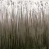 Duschrückwand Natur selbstklebend - 0.35 mm Wandpaneel Produktbild-Vorschau 9