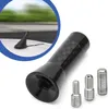Universal 3,5cm Auto Kurz Stab Dach Antenne Radio Carbon Produktbild-Vorschau 1