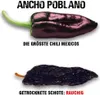 Scovillas Ancho Poblano Schoten, getrocknet, 40g Produktbild-Vorschau 2