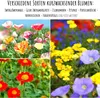 2x Saatteppich Blumensamen Balkonkasten Mischung - Produktbild-Vorschau 4