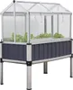 A raised garden bed with a greenhouse top, containing lettuce plants. Produktbild-Vorschau
