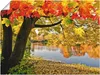 ARTland Poster Herbsttag an einem ruhigen See Größe: 40x30 Produktbild-Vorschau 1