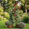 Garten Terrasse Pergola Rosenstütze Set Metall Stabil Produktbild-Vorschau 10