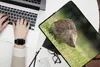 MuchoWow® Laptop Hülle 14 ZollIgel im Garten Laptoptasche - Produktbild-Vorschau 2