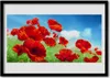 Bild 100x70 MDF-Rahmen Wandkunst Die Pflanze Mohn Natur Produktbild-Vorschau 1