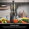 Odsávací mixér Caso Juice Fit Pro, 250 W, objem 1 l, 40 Náhled obrázku produktu 18