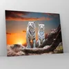 Bilder auf glas - Tiger weiß Rock Sonnenuntergang - 70x50cm Produktbild-Vorschau 4