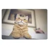 MuchoWow® Schreibtischunterlage Katze - Bank - Orange 60x40 Produktbild-Vorschau 1