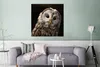 MuchoWow® Poster Waldkauz auf schwarzem Hintergrund 75x75 Produktbild-Vorschau 5