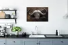 MuchoWow® Poster Porträt eines Büffels 90x60 cm - Produktbild-Vorschau 3