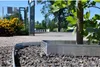 A tree is planted in a garden bed with a metal border, surrounded by gravel. Produktbild-Vorschau