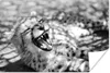 MuchoWow® Poster Baby Gepard in der Savanne - schwarz und Produktbild-Vorschau 1