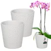 Two white ceramic planters and a pink orchid plant. Podgląd zdjęcia produktu