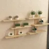 Several wooden shelves are mounted on a tiled wall, decorated with various potted plants and decorative items. Produktbild-Vorschau